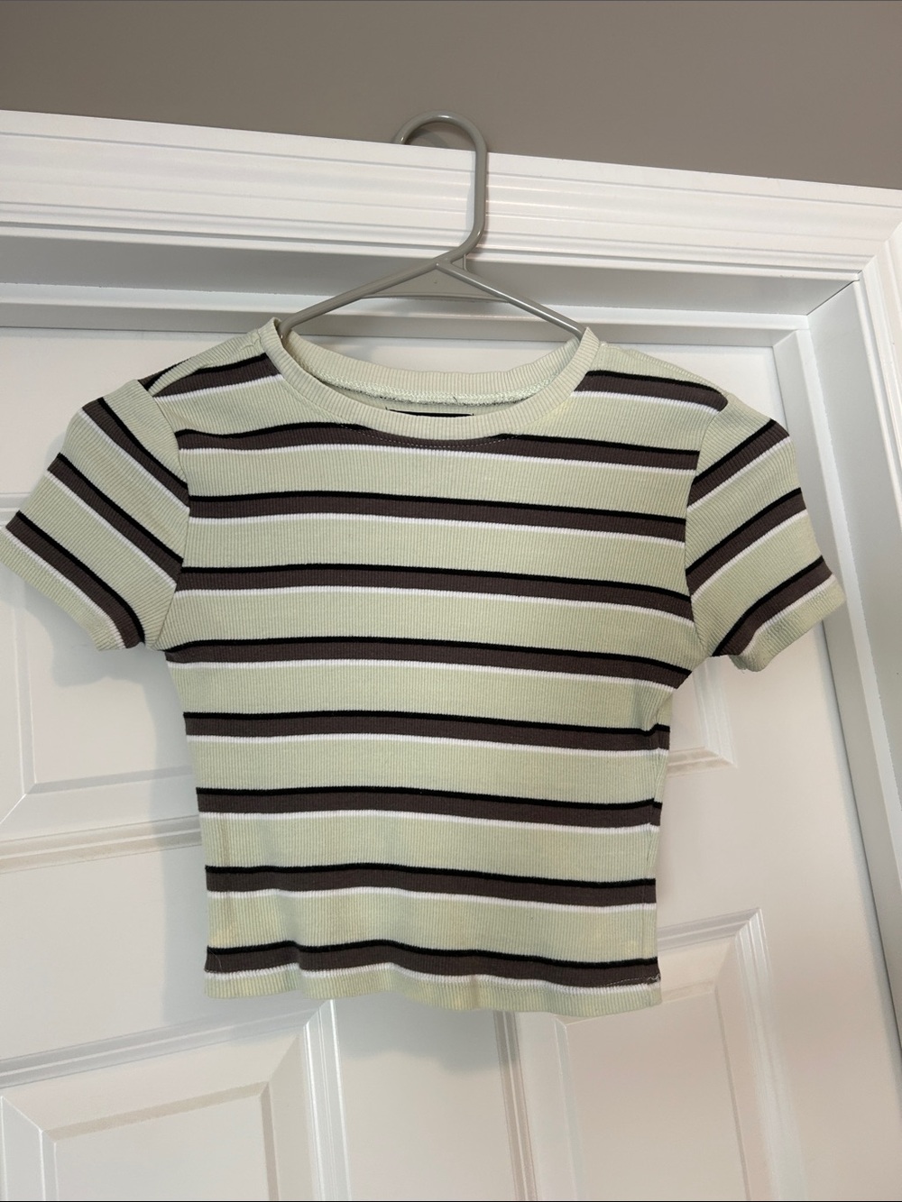 Essentials Cropped Ribbed Tee in Mint Green and Brown Stripes